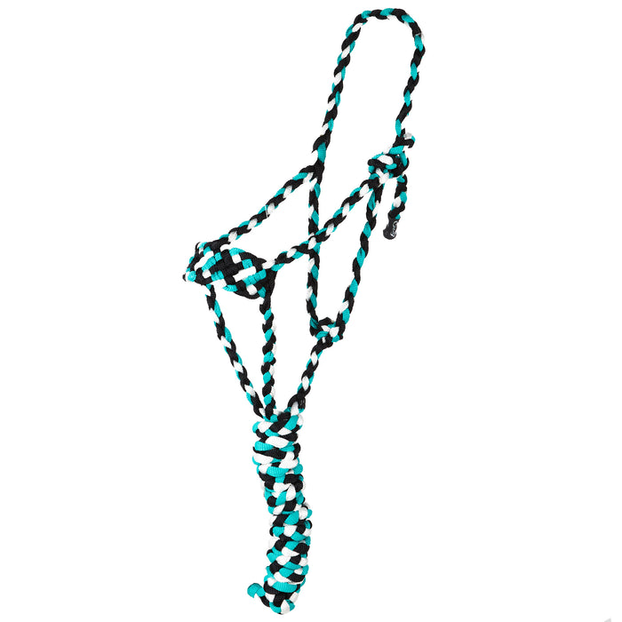 Tri Color Halter with 8ft Attached Lead