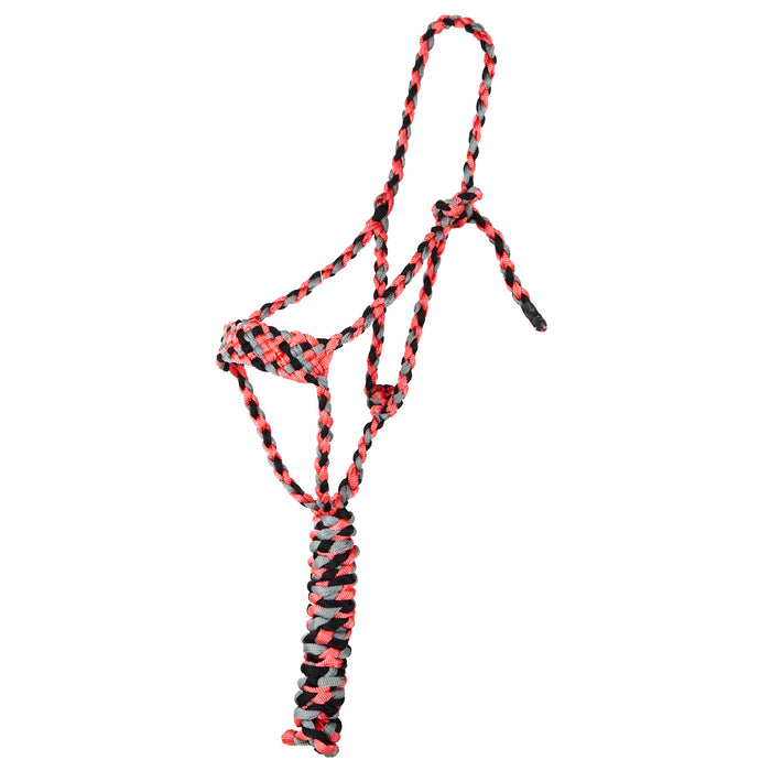 Tri Color Halter with 8ft Attached Lead