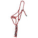 Tri Color Halter with 8ft Attached Lead