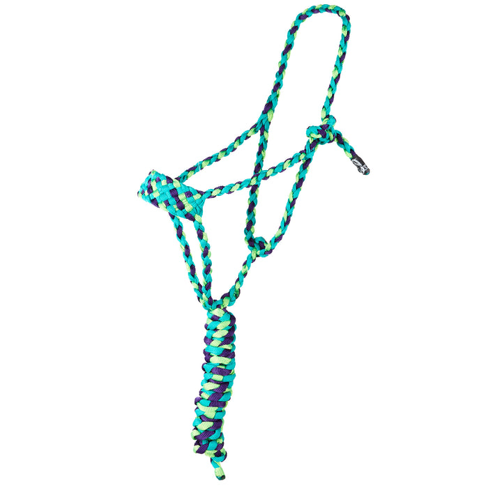 Tri Color Halter with 8ft Attached Lead