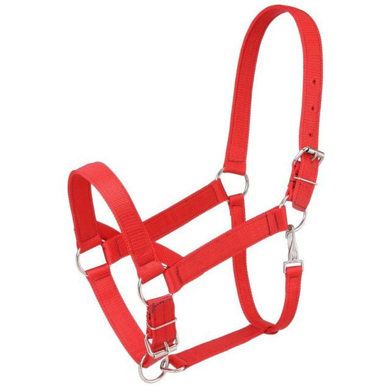 Draft Horse Double Ply Nylon Halter
