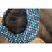 Patterned Lycra Fly Mask
