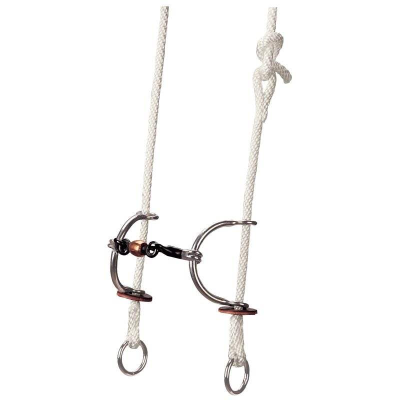 Sweet Iron Copper Roller Mouth Gag