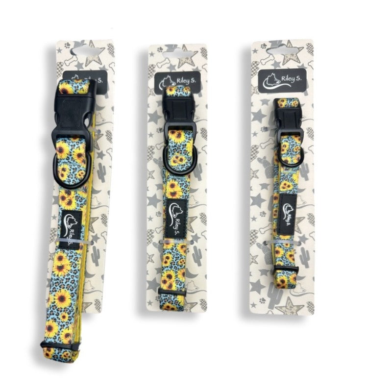 Riley S. Neoprene Dog Collar