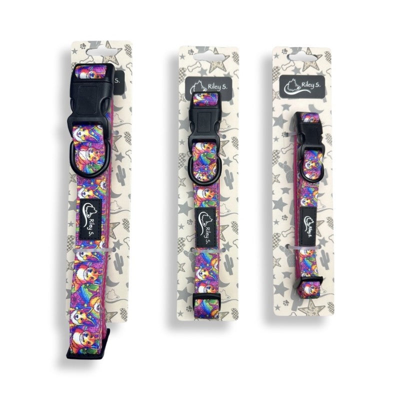 Riley S. Neoprene Dog Collar