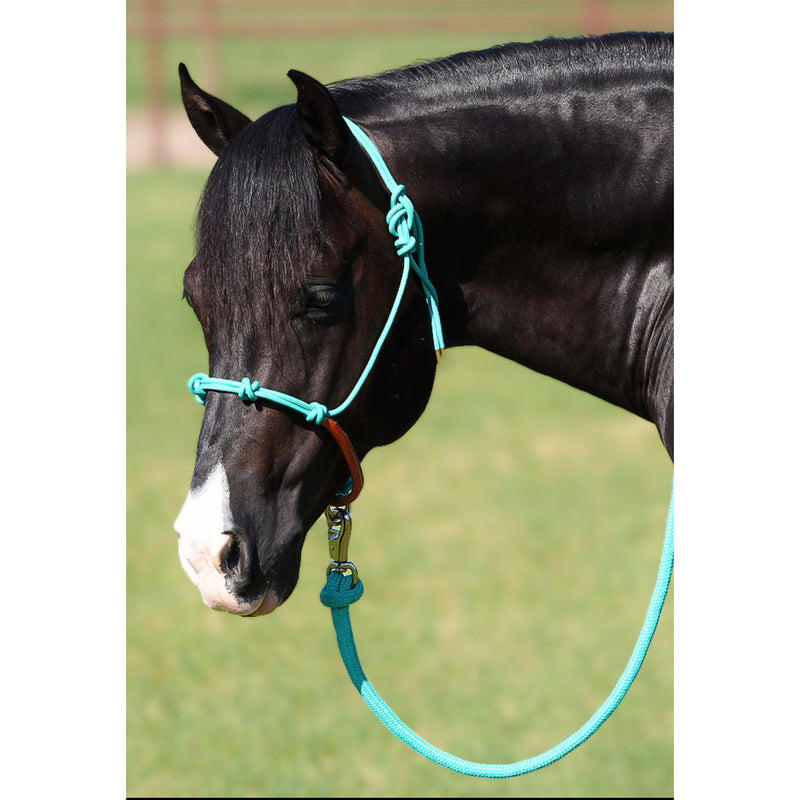 Knotted Rope Halter With Attached Lead Rope