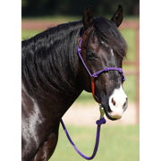 Knotted Rope Halter With Attached Lead Rope