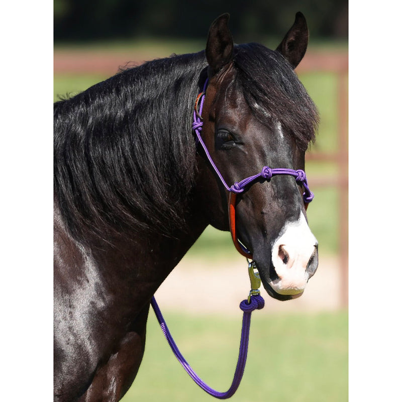 Knotted Rope Halter With Attached Lead Rope