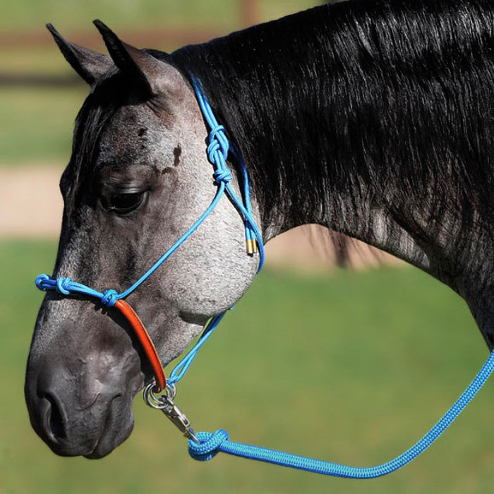 Lead Rope Keeper NRS Knotted Rope Halter With Attached Lead Rope