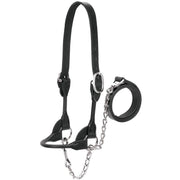 Leather Dairy/Beef Show Halter