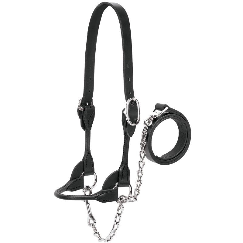 Leather Dairy/Beef Show Halter