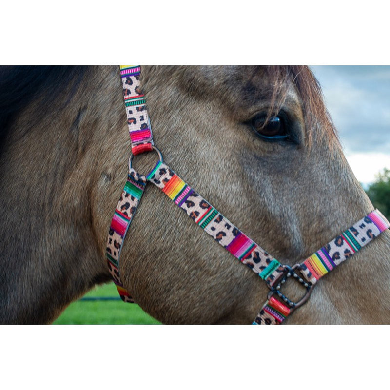 Patterned Nylon Horse Halter