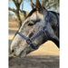Patterned Nylon Horse Halter