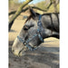 Patterned Nylon Horse Halter