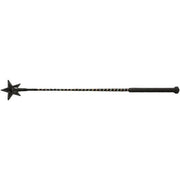 24in Star Sparkle Riding Crop
