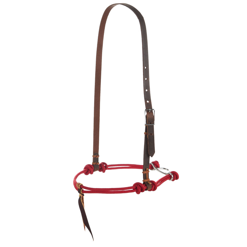 Knotted Double Rope Tiedown Noseband
