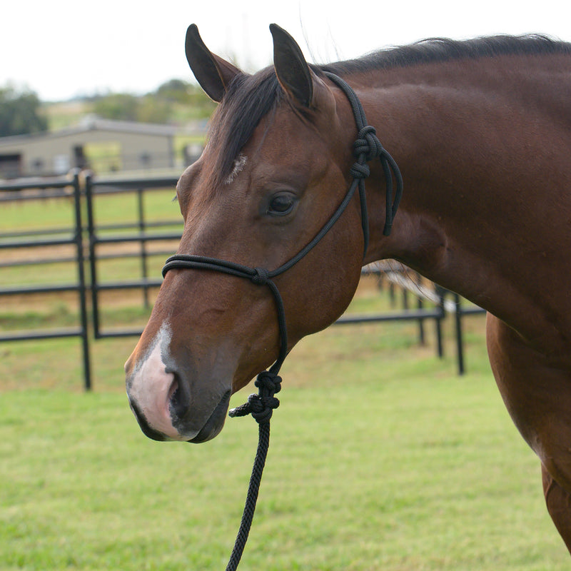 Equissential Rope Halter with 8ft Attached Lead Rope
