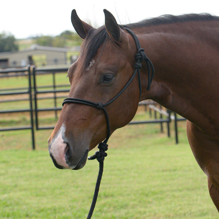 Equissential Rope Halter with 8ft Attached Lead Rope