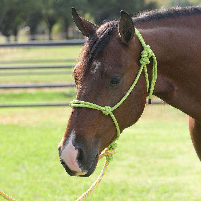 Equissential Rope Halter with 8ft Attached Lead Rope