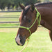Equissential Rope Halter with 8ft Attached Lead Rope