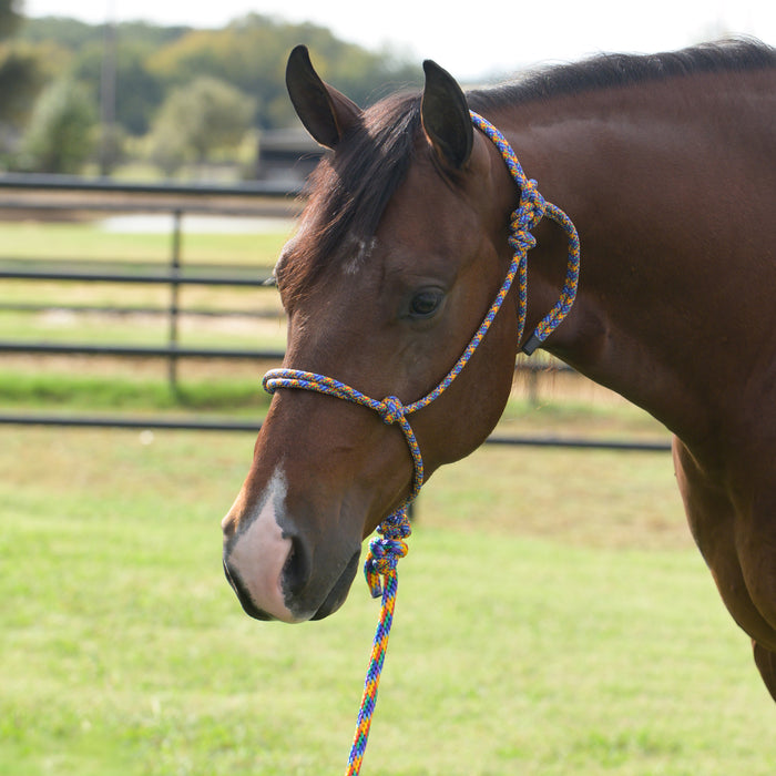 Equissential Rope Halter with 8ft Attached Lead Rope