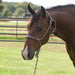 Equissential Rope Halter with 8ft Attached Lead Rope