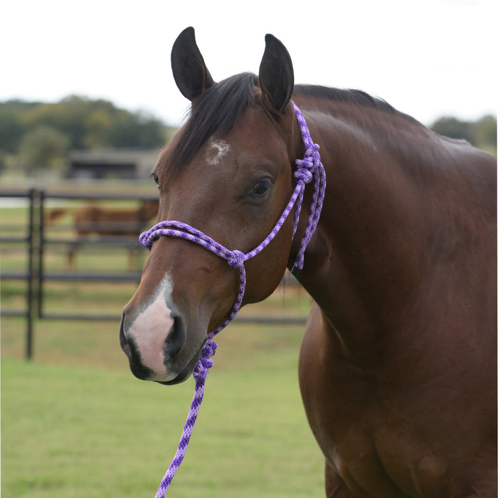 Equissential Rope Halter with 8ft Attached Lead Rope