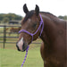 Equissential Rope Halter with 8ft Attached Lead Rope