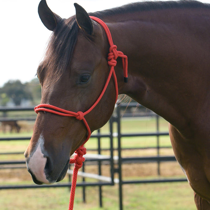 Equissential Rope Halter with 8ft Attached Lead Rope