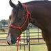 Equissential Rope Halter with 8ft Attached Lead Rope