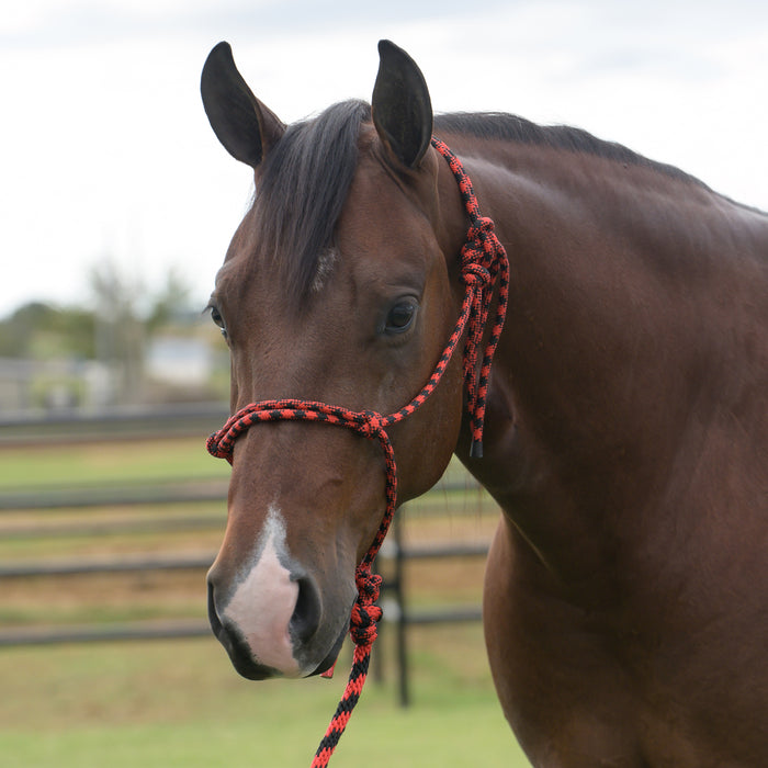 Equissential Rope Halter with 8ft Attached Lead Rope