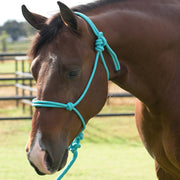 Equissential Rope Halter with 8ft Attached Lead Rope