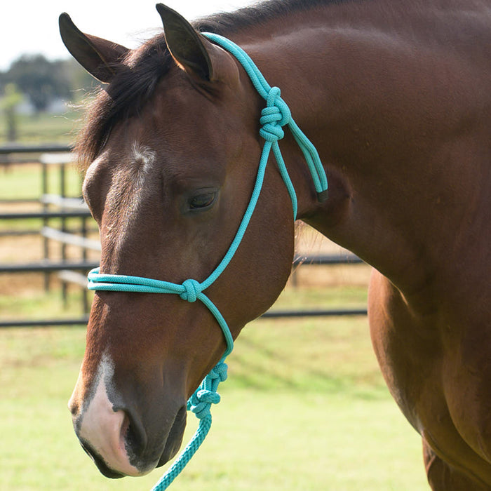Equissential Rope Halter with 8ft Attached Lead Rope