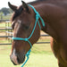 Equissential Rope Halter with 8ft Attached Lead Rope
