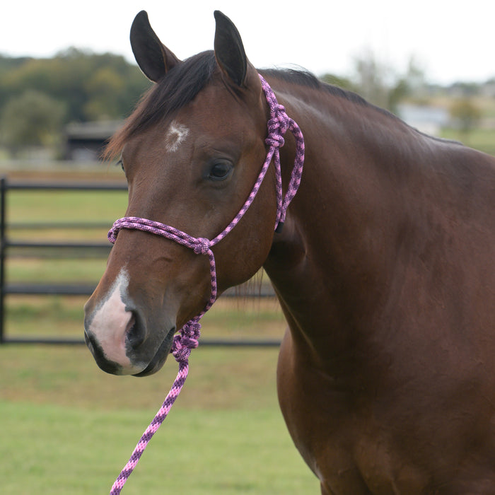 Equissential Rope Halter with 8ft Attached Lead Rope