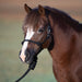 Easy on Pony Rope Halter with Attached Lead Rope