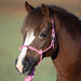 Easy On Mini Pony Rope Halter with Attached Lead Rope