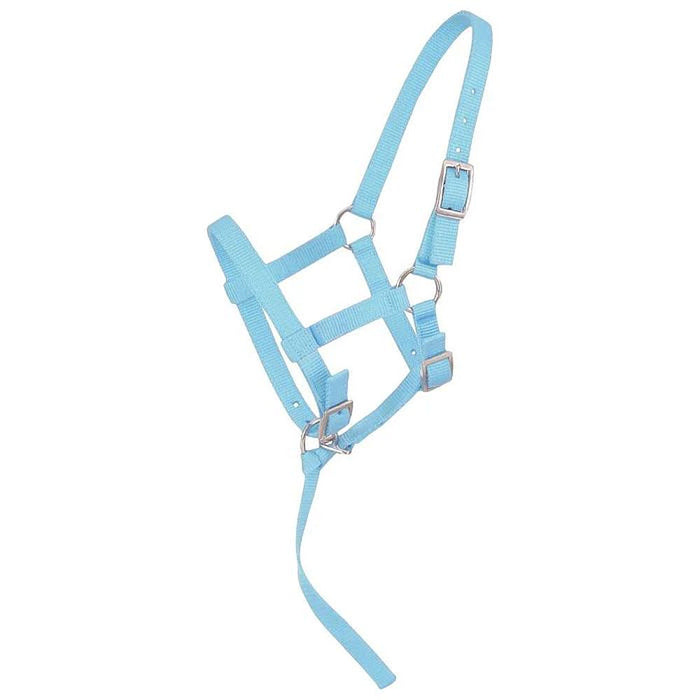 Weanling Foal Nylon Halter