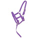 Weanling Foal Nylon Halter