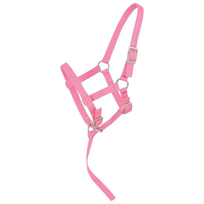 Weanling Foal Nylon Halter