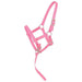 Weanling Foal Nylon Halter