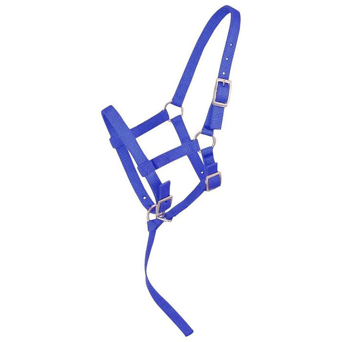 Weanling Foal Nylon Halter
