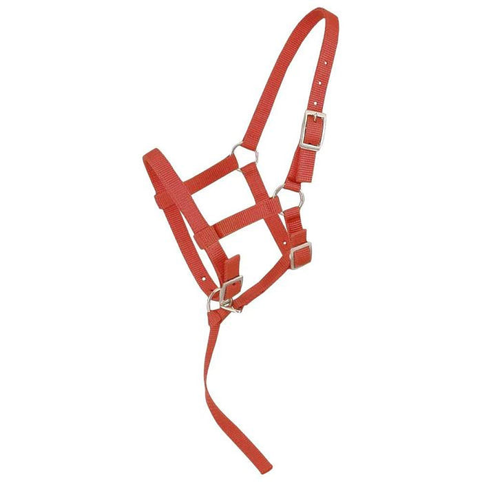 Weanling Foal Nylon Halter