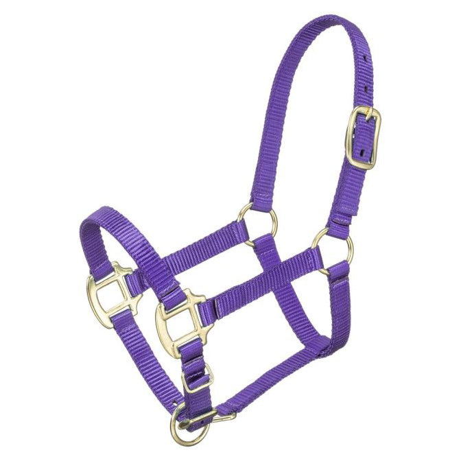 Premium Mini Pony Nylon Halter