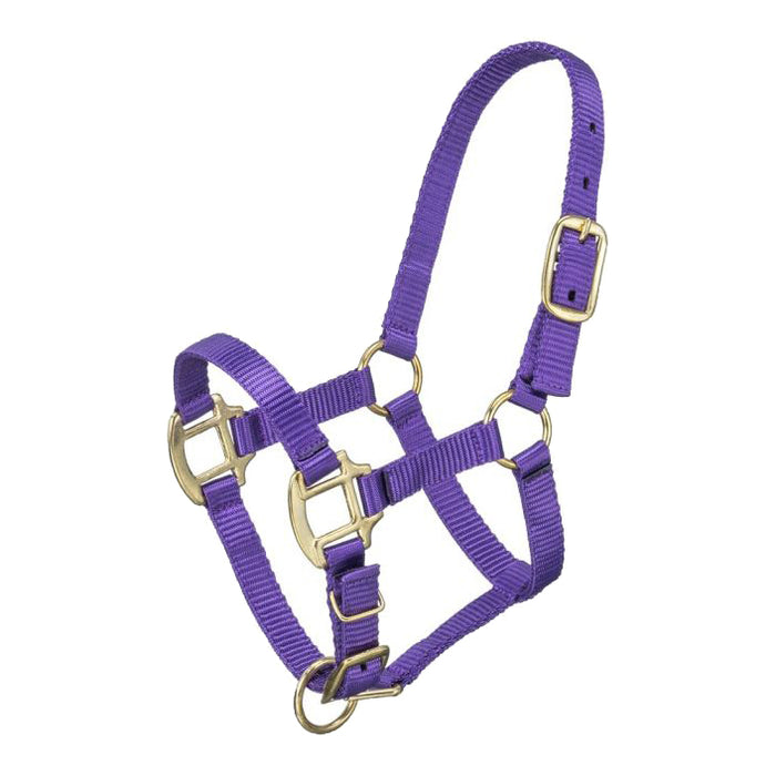 Premium Suckling Foal Nylon Halter