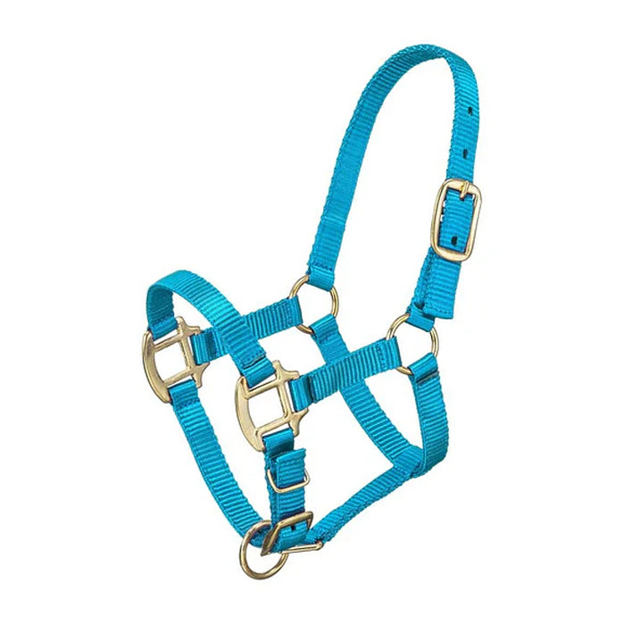 Premium Suckling Foal Nylon Halter