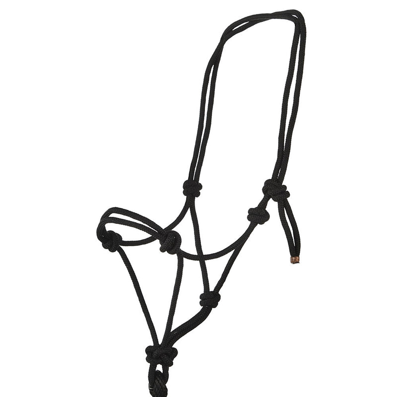 Rope Halter & Lead