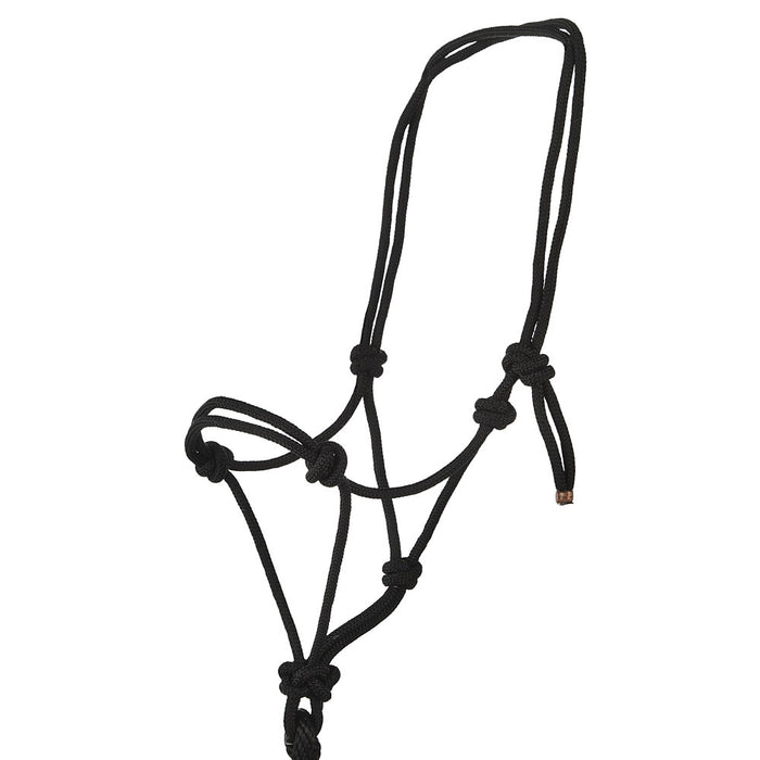 Rope Halter & Lead