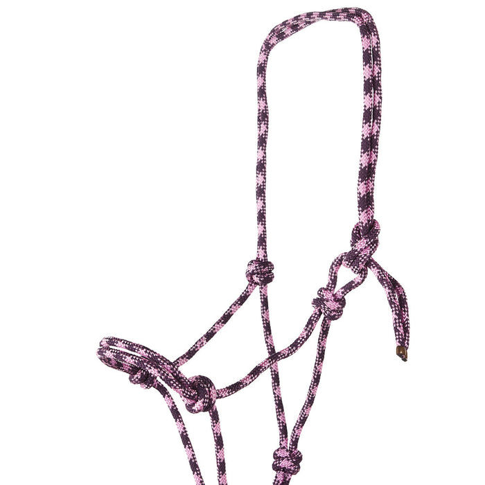 Rope Halter & Lead
