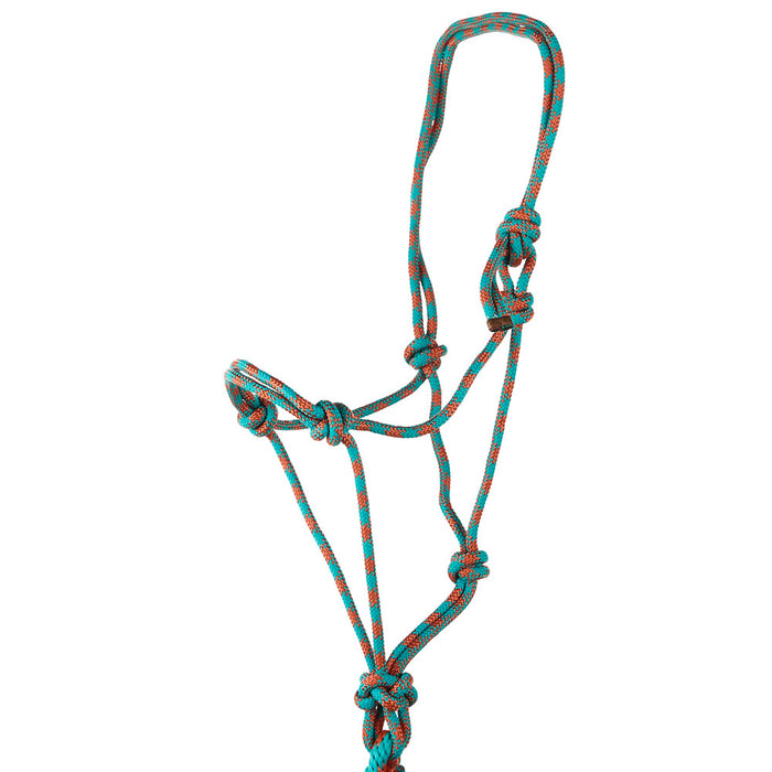Rope Halter & Lead